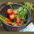 Red Gorilla Cesto Drainer Basket in Graphite, Open Weave Draining Basket for Washing Vegetables, Dishes and Gear