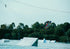 RONIX PARK BOARDS 2026 - Epic - All Over Flex - Neon Galore