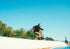 RONIX PARK BOARDS 2026 - Epic - All Over Flex - Neon Galore
