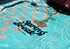 RONIX PARK BOARDS 2026 - Spring Break - All Over Flex - Checkered Blue