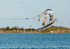 RONIX WAKEBOARDS 2026 - One - Legacy Core - Gloss Midnight / Fog