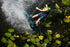 RONIX WAKEBOARDS 2026 - Vision - Galactic Black / Glow 'N Dark