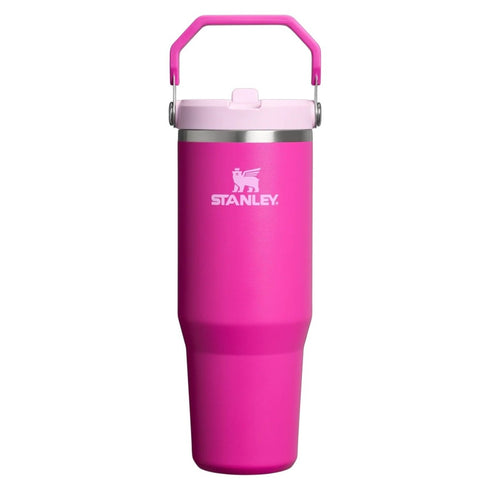 Stanley Ice Flow GO 890ml/30oz Flip Straw Wtr Btl