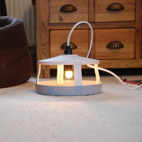 STV Zero In Flea Killer Trap - Non - Toxic & Effective Solution for Flea Infestations