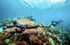 Sublue WhiteShark MIX Pro | Premium Sea Scooter in Dubai