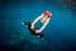 Sublue WhiteShark MIX Pro | Premium Sea Scooter in Dubai