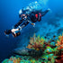 Sublue WhiteShark MIX Pro | Premium Sea Scooter in Dubai