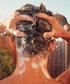 Sun Bum Scalp Exfoliator for Fresh Hair Care