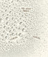 Sun Bum Sea Spray V2 Salt Spray for Textured Beach Hair