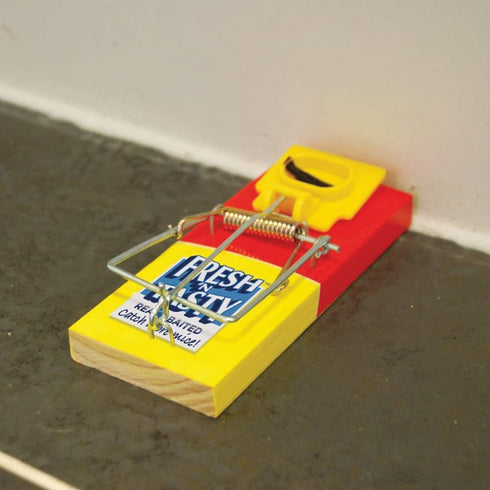 The Big Cheese Fresh Baited Mouse Trap, Ready Baited Wooden Snap Trap with Wipe Clean Sleeve for Home and Garden