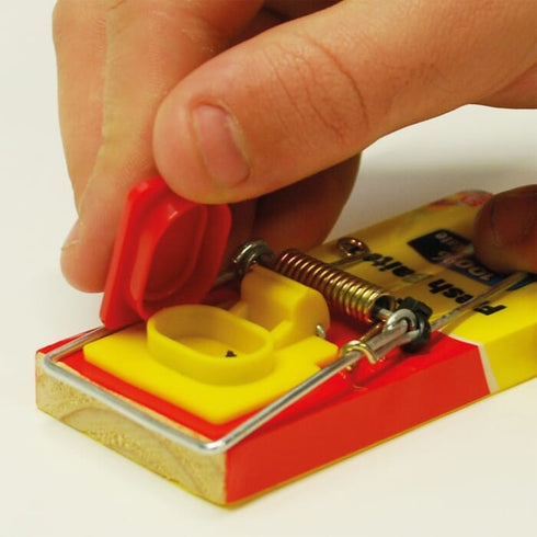 The Big Cheese Fresh Baited Mouse Trap Twinpack, Two Ready Baited Snap Traps for Kitchens, Sheds and Stores