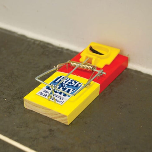The Big Cheese Fresh Baited Mouse Trap Twinpack, Two Ready Baited Snap Traps for Kitchens, Sheds and Stores