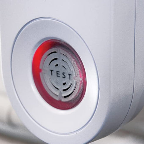 The Big Cheese Sonic Repeller, Ultrasonic Mouse and Rat Deterrent with Changing Frequencies for 37 m2 Areas