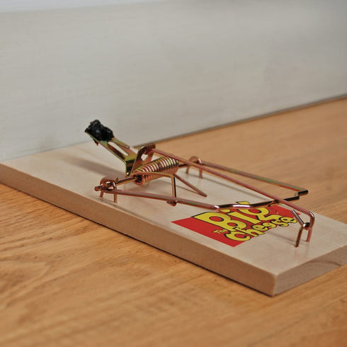The Big Cheese Traditional Wooden Rat Trap Twinpack, Powerful Easy Set Snap Traps for Indoor and Outdoor Use