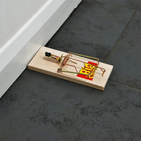 The Big Cheese Traditional Wooden Rat Trap Twinpack, Powerful Easy Set Snap Traps for Indoor and Outdoor Use