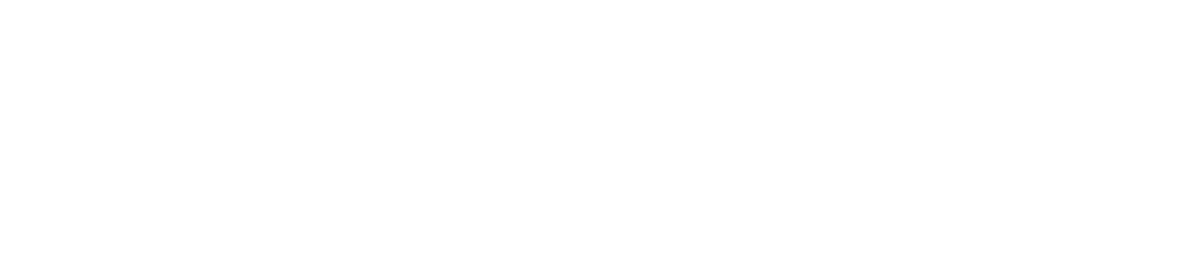 Silva logo