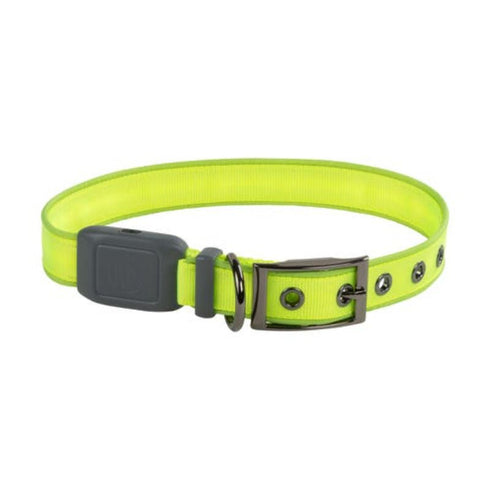 Nite Ize NiteDog Rechargeable LED Collar Lime