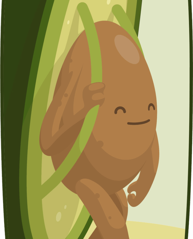 AVO10_8_1_2_