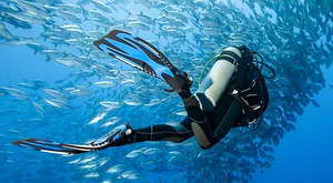 diving-hub-image-homes