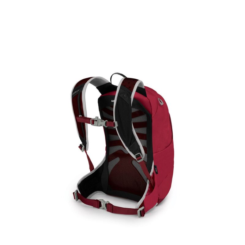 talonjr_s21_sideback_cosmicred