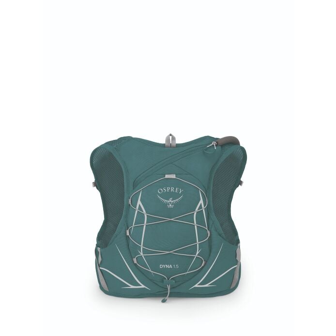 dyna1-5wres_s24_back_cascadebluesilverlining